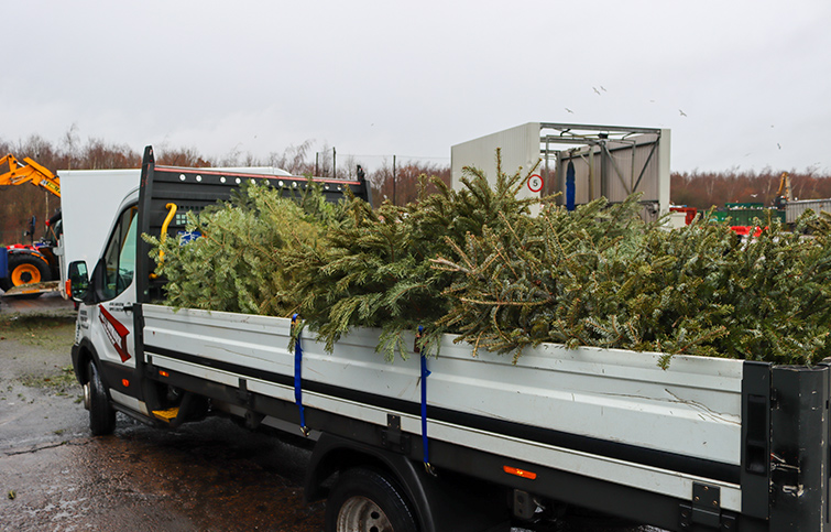 Donated CHristmas trees piled high on the back of donated van